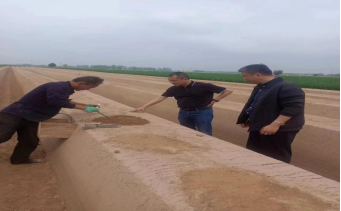 4月15日，公司李總、原料王愛兵、品管王文文奔赴菏澤深入田間地頭考察原料種植采收情況